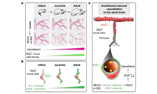 1756822395137 Research2-600-360