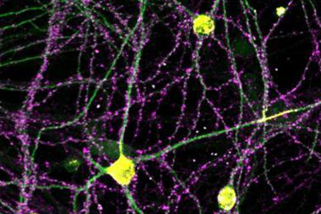 1756824107340 1756824107340