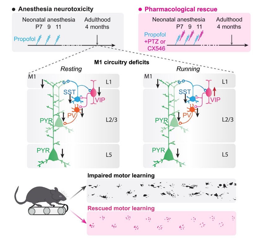 1756868785497 1756868785497